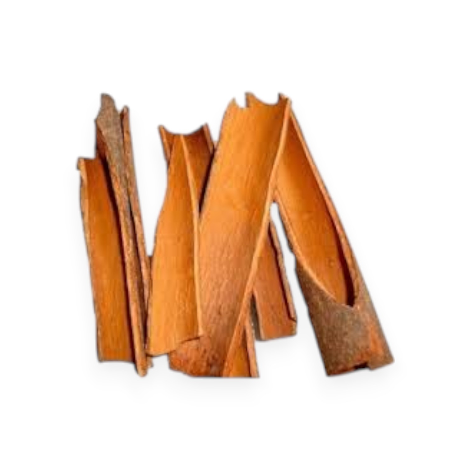 Dalchini Sabut Cinnamon Whole